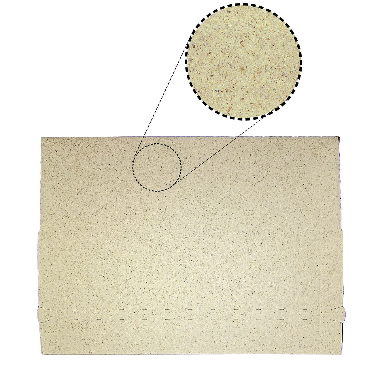 Automatkbodenkarton aus Graswellpappe ZOOM IN Graspapier Fasern