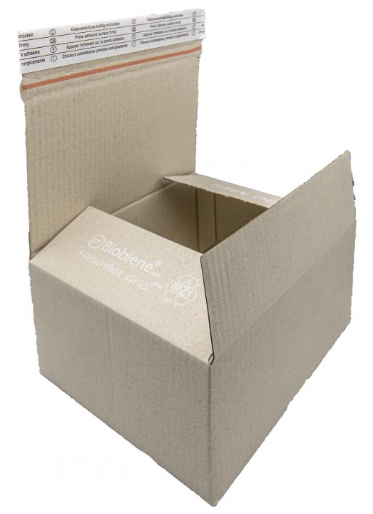 Naturebox Graskarton Aufrichtekarton Automartikkarton 450x400x250mm UK3
