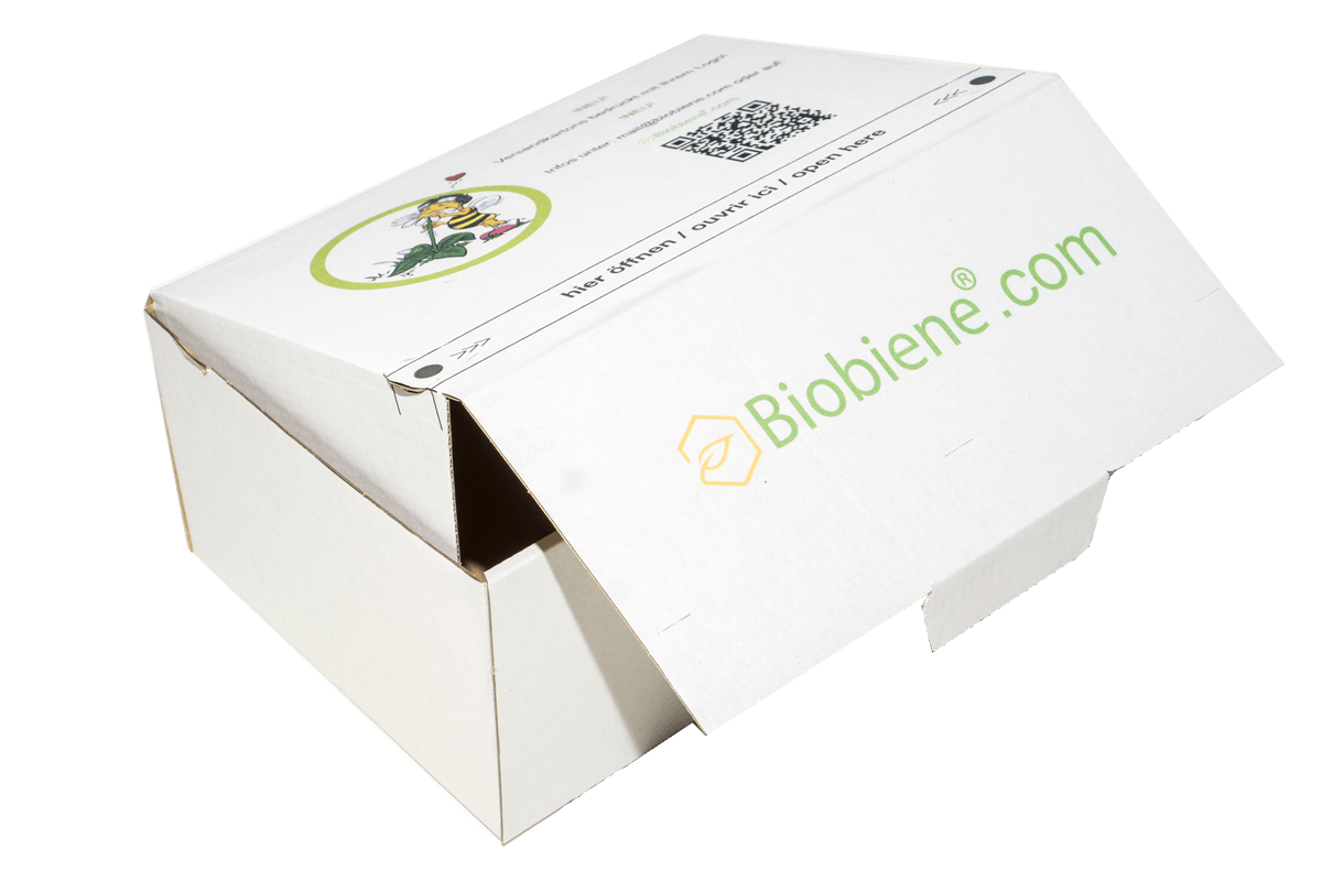 Karton mit individuellem Aufdruck 215x155x100mm