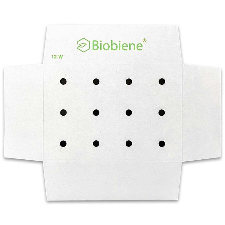 Stabilisierung Fixierung Flaschen im Karton