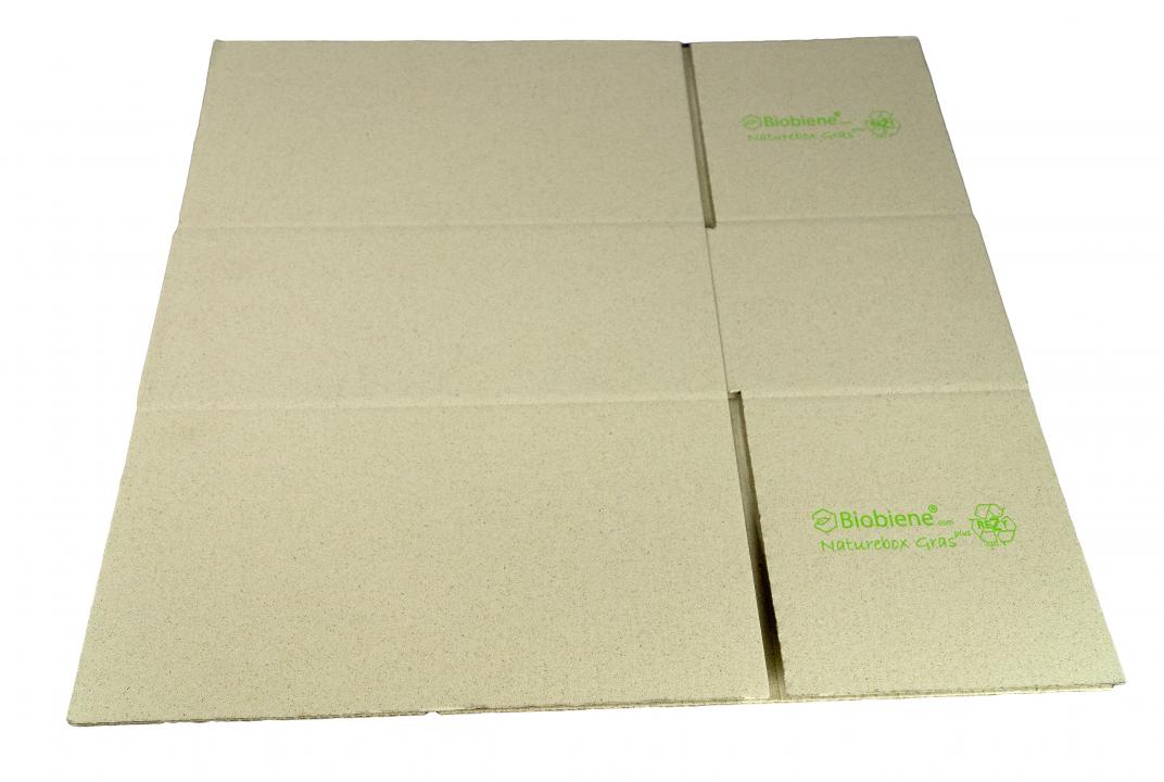 Graspapier-Kartonagen Naturebox® TBL1 - 405 x 205 x 145 mm 
