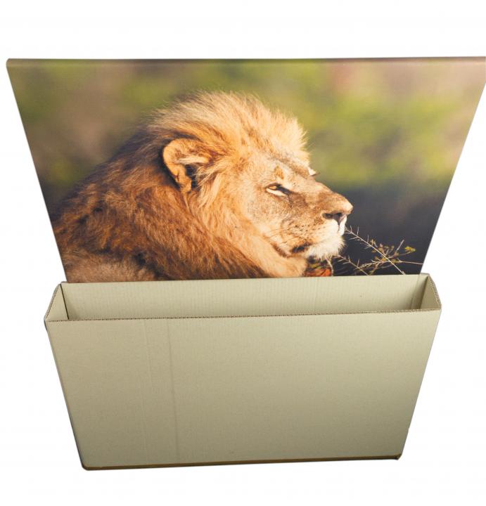 Teleskopverpackung von Naturebox®