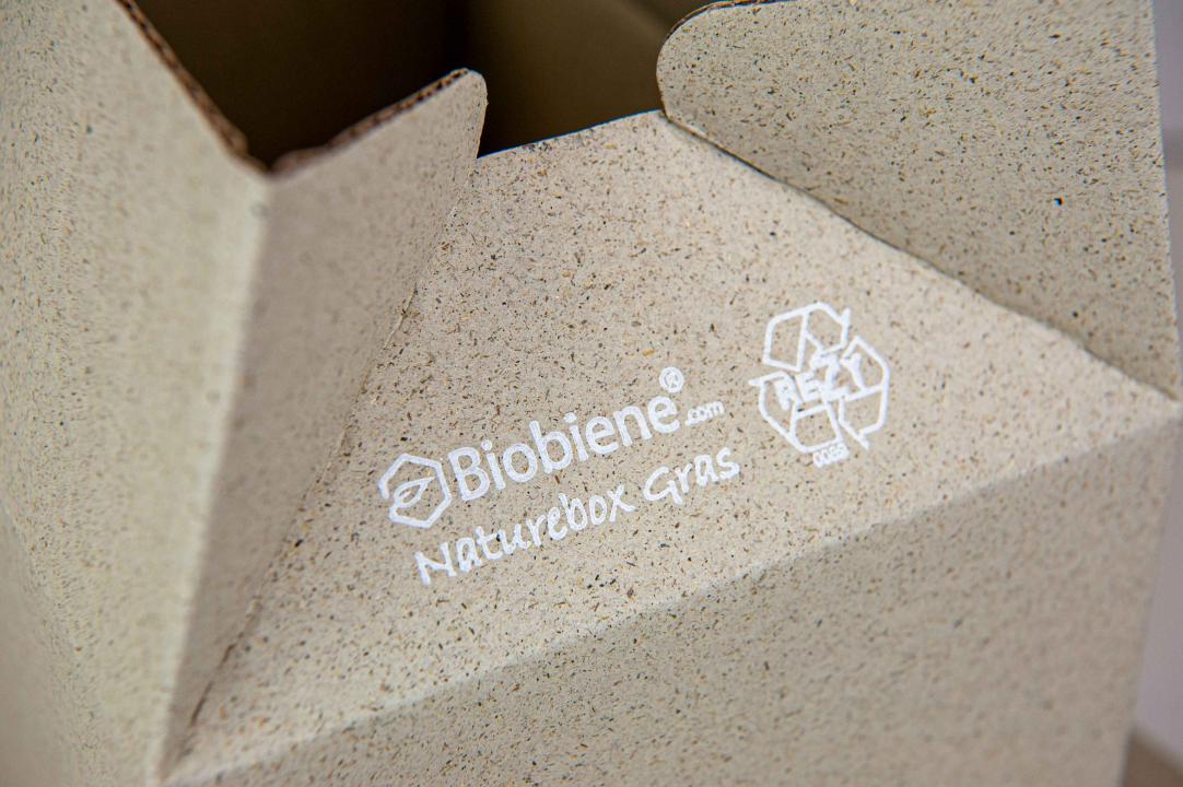 Graskarton Aufrichtekarton Safebox Verschluss Innenklappen