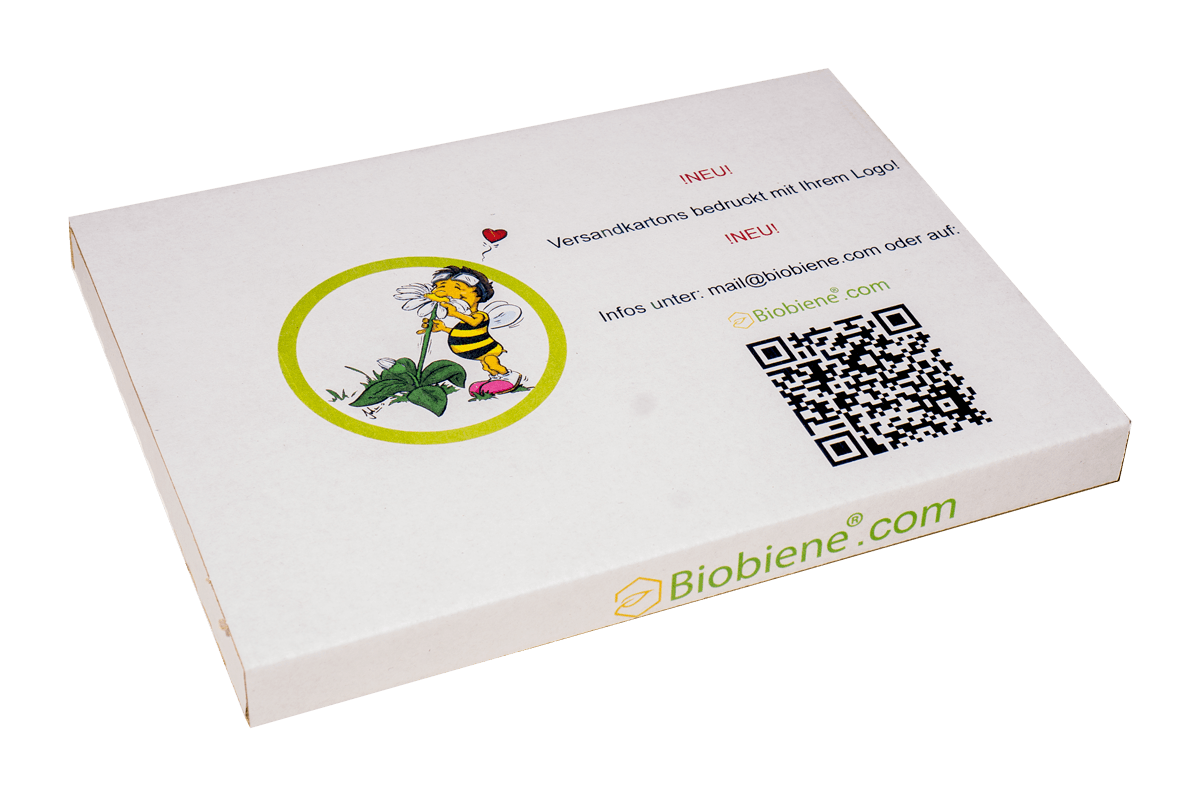 Bedruckte Faltkartonage 21,5x15,5x1,4cm