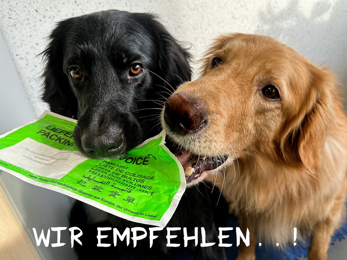 Grüne Lieferscheintaschen aus Papier DIN Lang (250 Stk.)