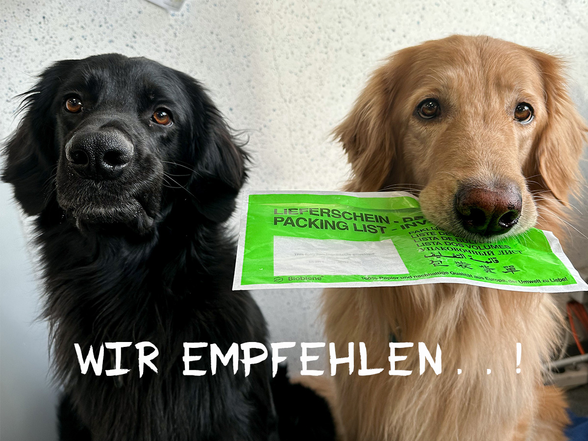 Grüne Lieferscheintaschen aus Papier DIN Lang (250 Stk.)