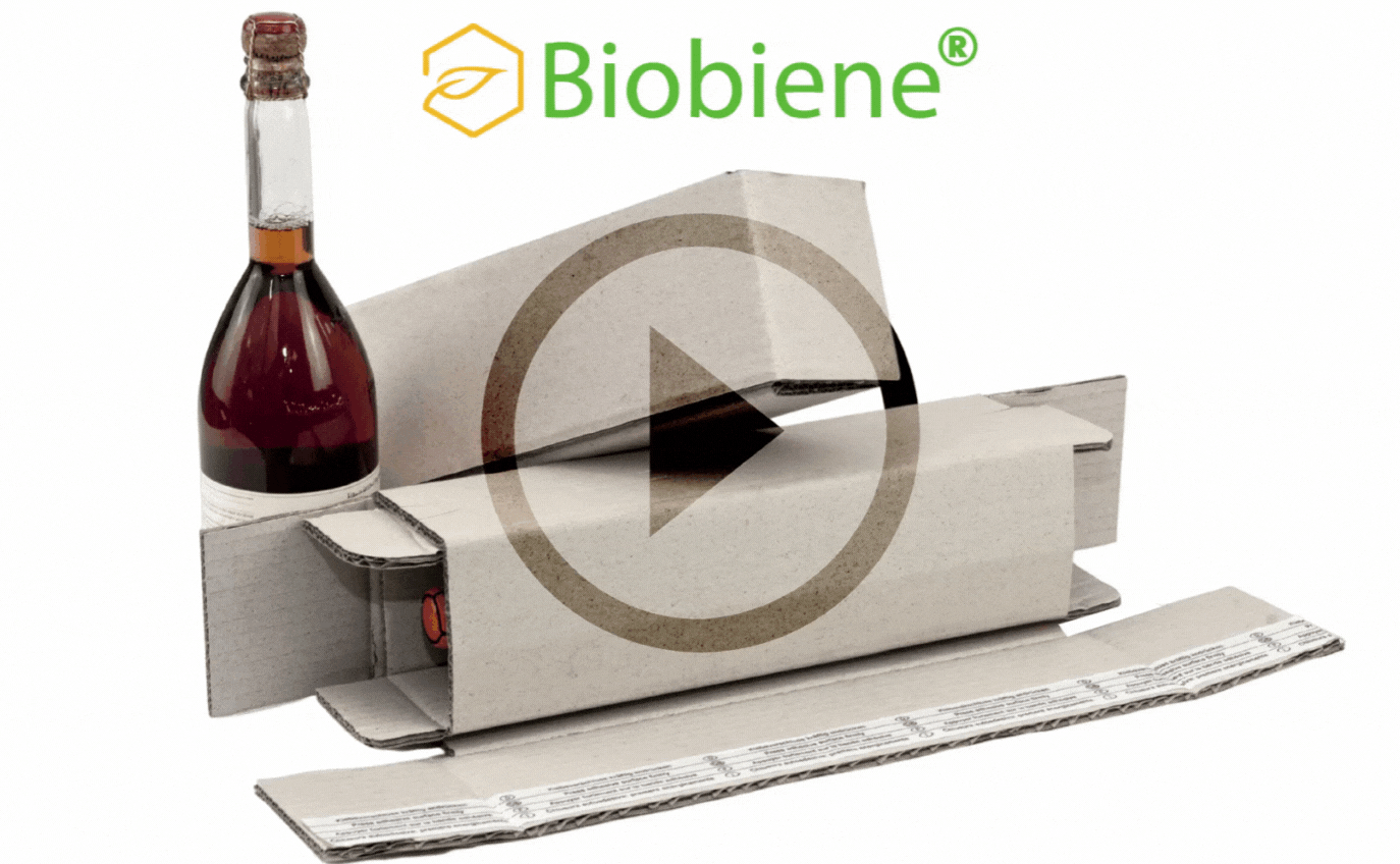 Flaschenverpackung, Flaschenkarton VIDEOANLEITUNG