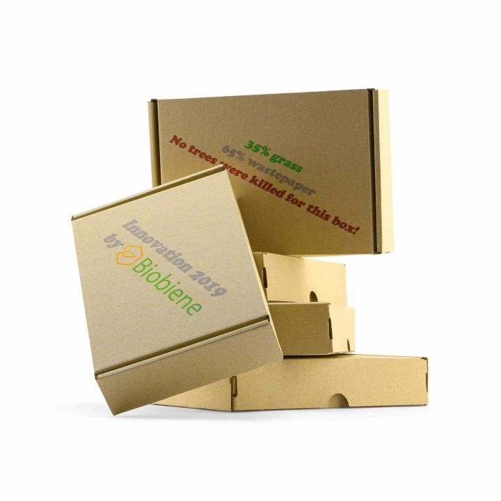 Umweltfreundliche Graskartons "Maxibrief" 35% Gras und 65% Altpapier