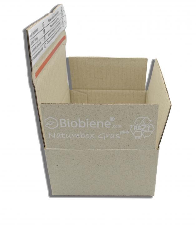 160x130x70mm Postkarton aus Gras