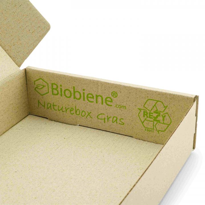 Naturebox Maxibriefkarton MB1 für DIN A4