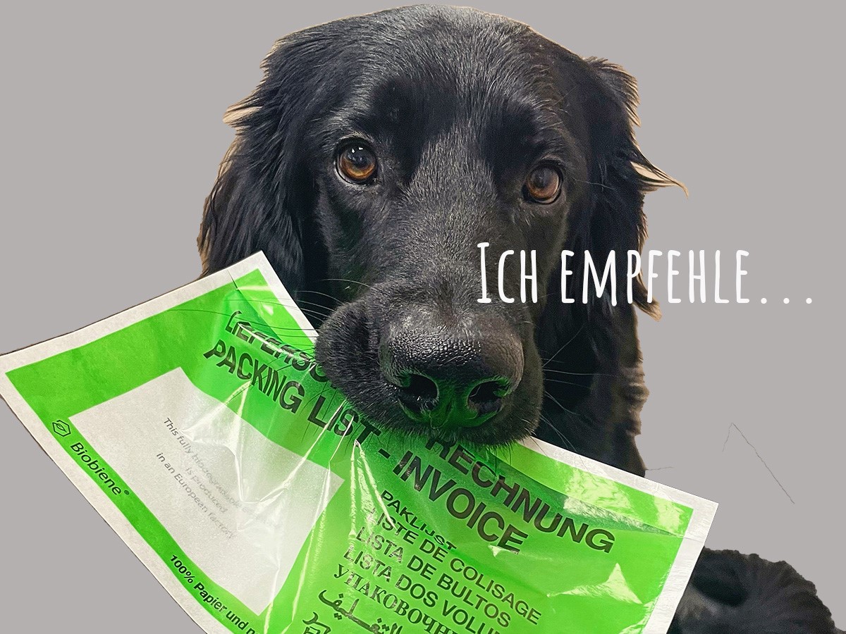 Grüne Lieferscheintasche Dokumenbtentasche DIN Lang - Originalprodukt nominiert für den Deutschen Verpackungspreis 2015