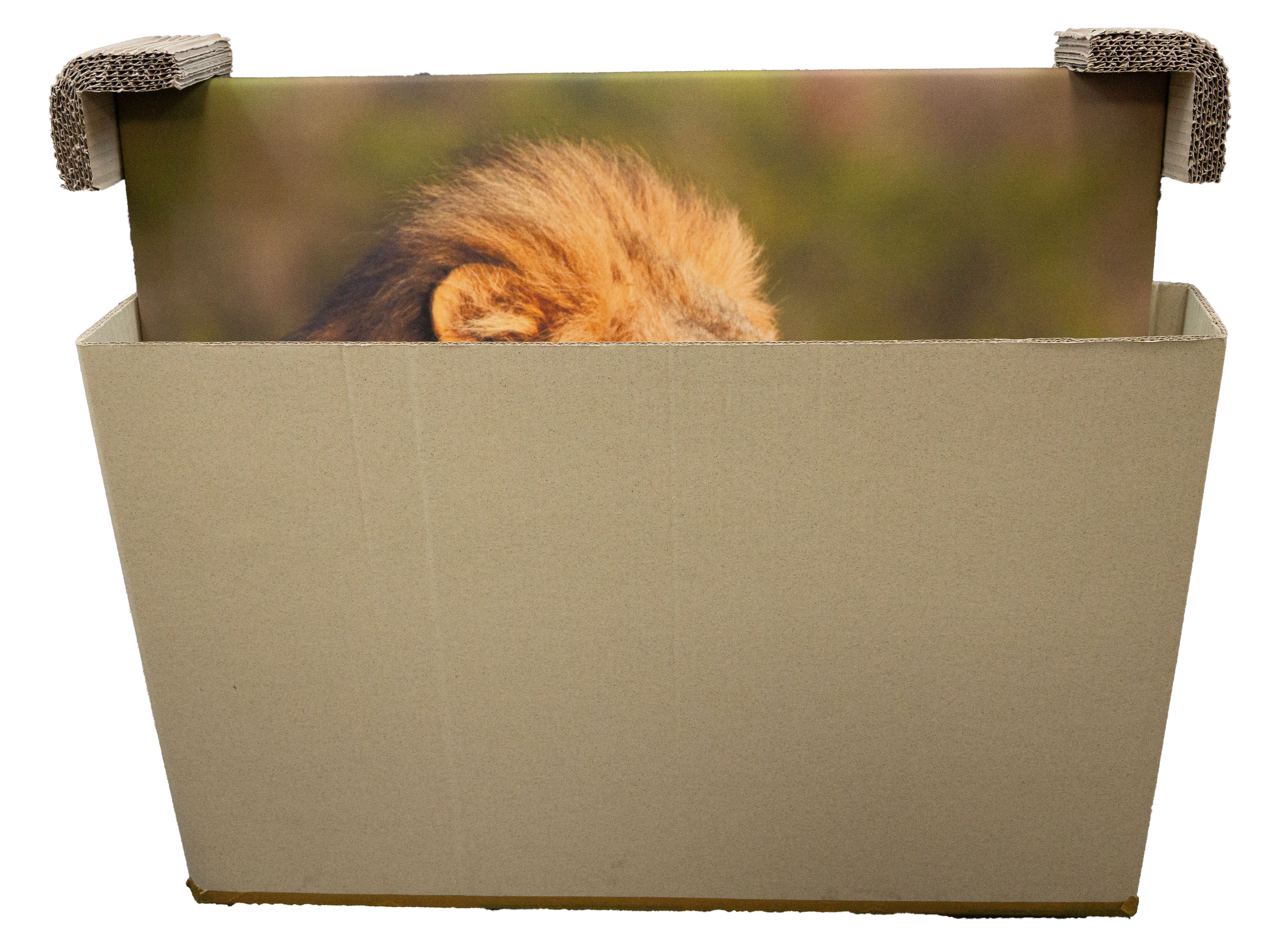 Teleskopkartons 700x105x950mm