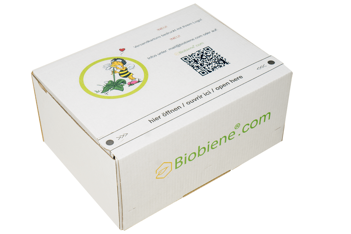 Faltkartonage mit Automatikboden