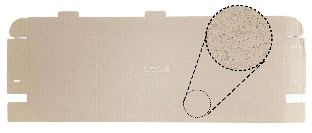 Naturebox-Graskarton-1250x100x100mm UK4