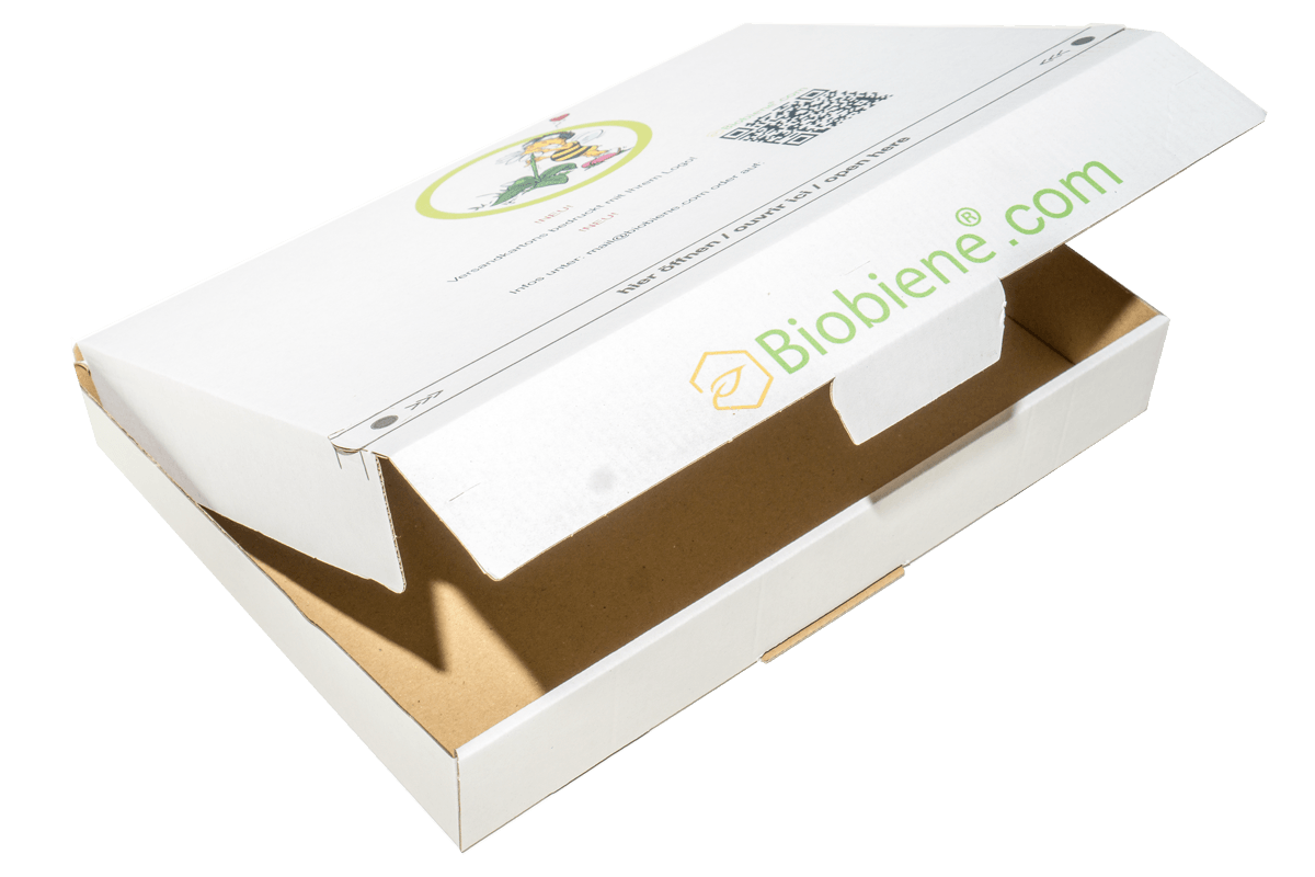 MB1 Maxibriefkarton mit Druck Selbstklebend + Aufreissfaden