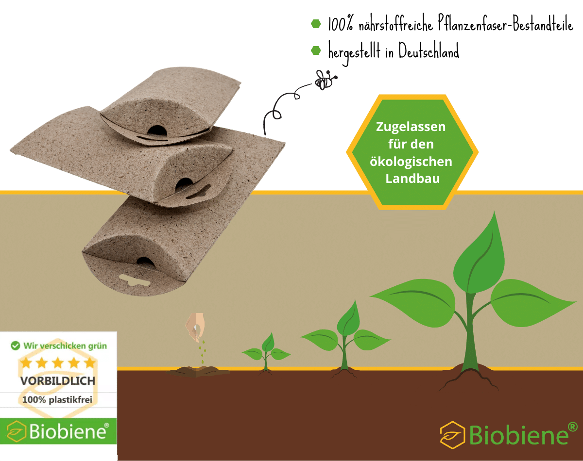 Kissenschachteln aus PLANTpaper Pflanzenfaser - biologisch abbaubare Verpackung