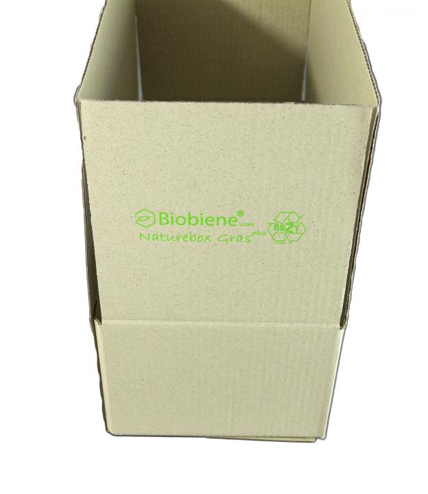 Graspapier-Kartonagen Naturebox® TBL1 - 405 x 205 x 145 mm 