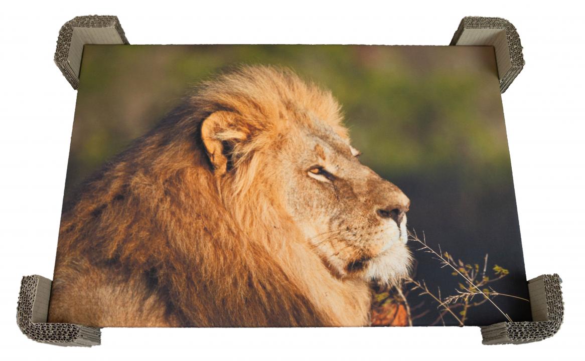 Teleskopkartons 700x105x950mm