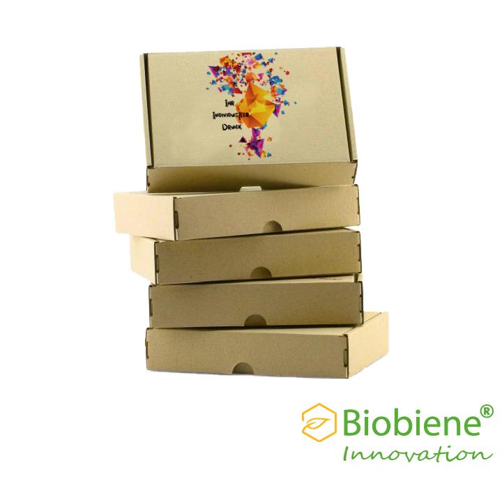 DIN A5 Maxbrief Graskartons von Biobiene mit Druck