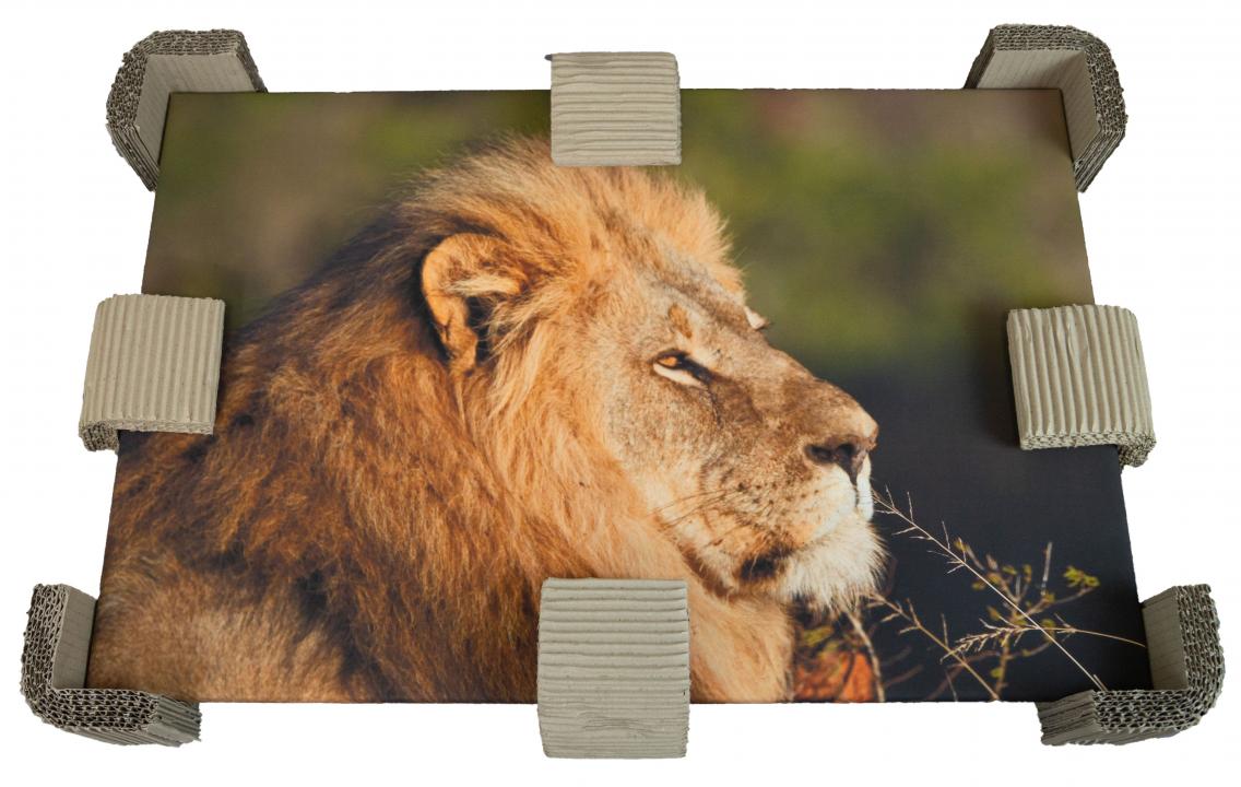 Teleskopkartons 700x105x950mm