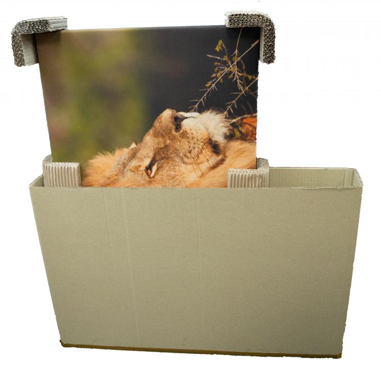 Teleskopkartons 700x105x950mm