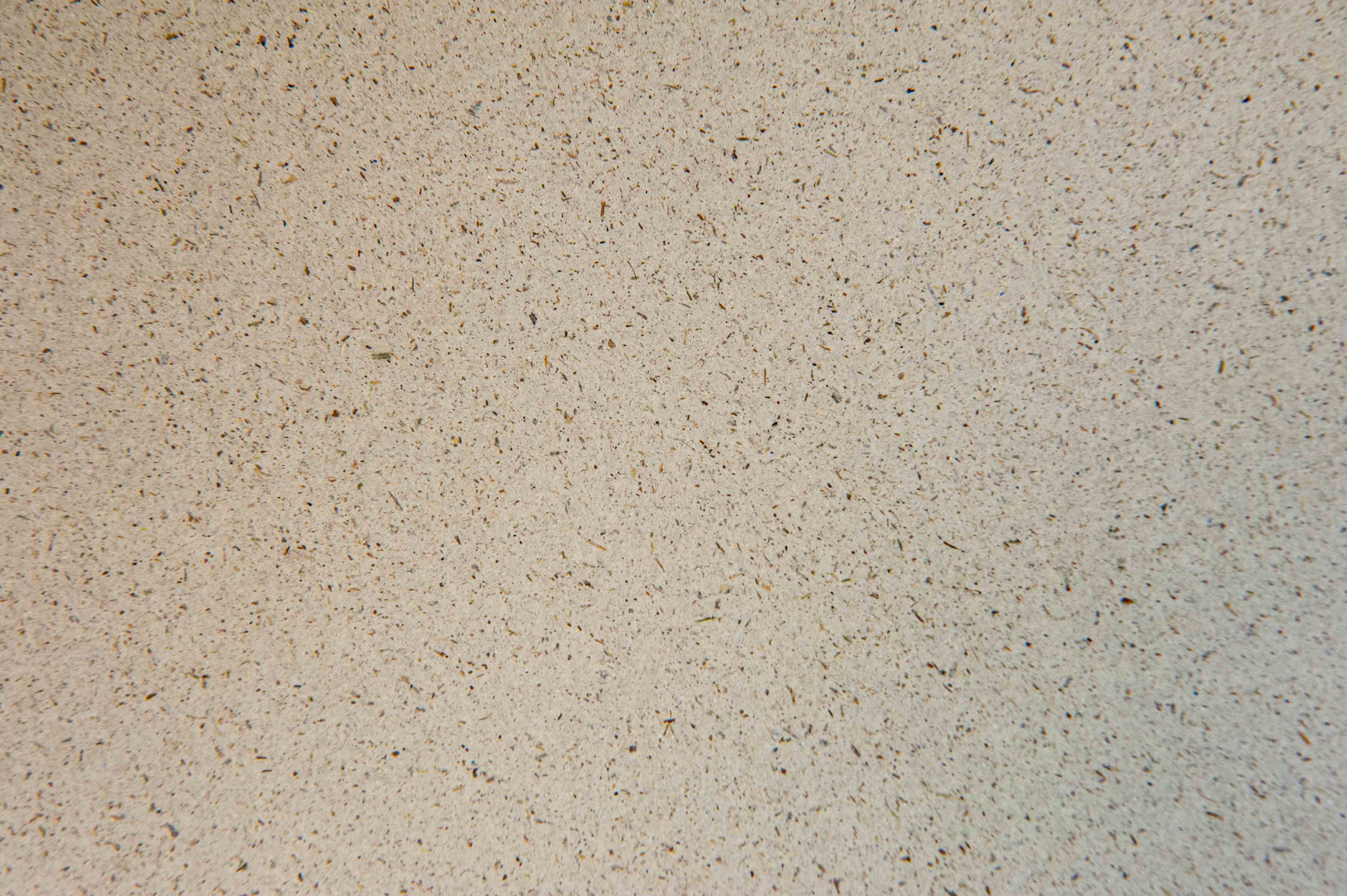 Farbe Natur mit Heuschimmer