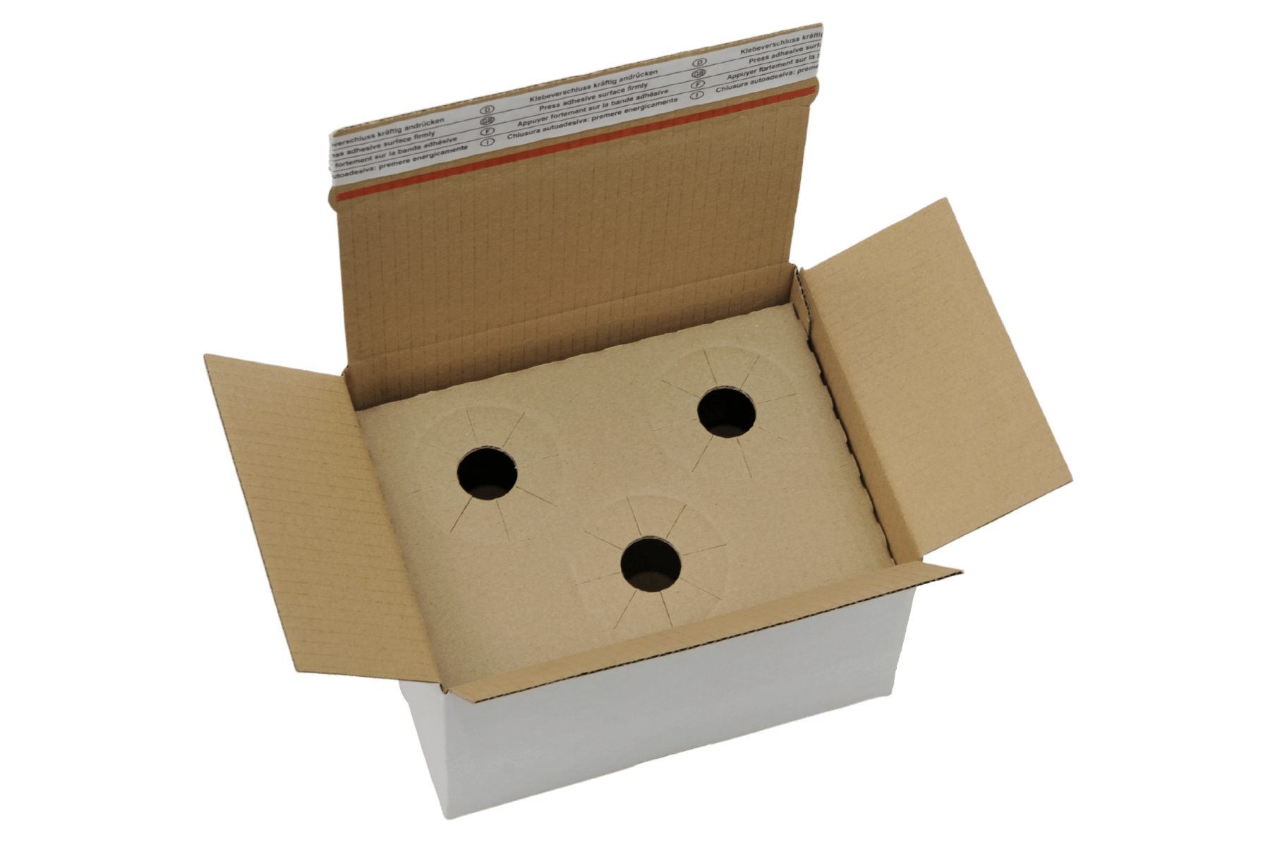 Flaschenverpackung Inlay Karton