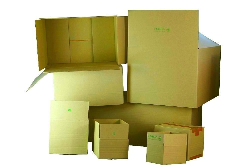 Paketkartons aus Graspapier